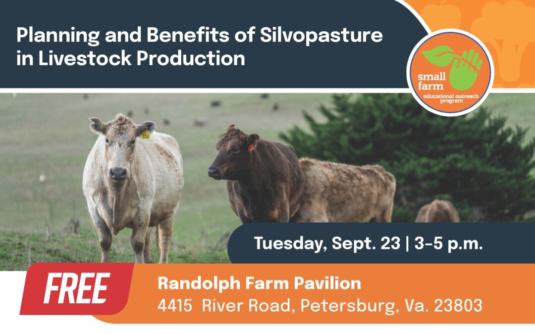 Planning & Benefits of Silvopasture in Livestock Production