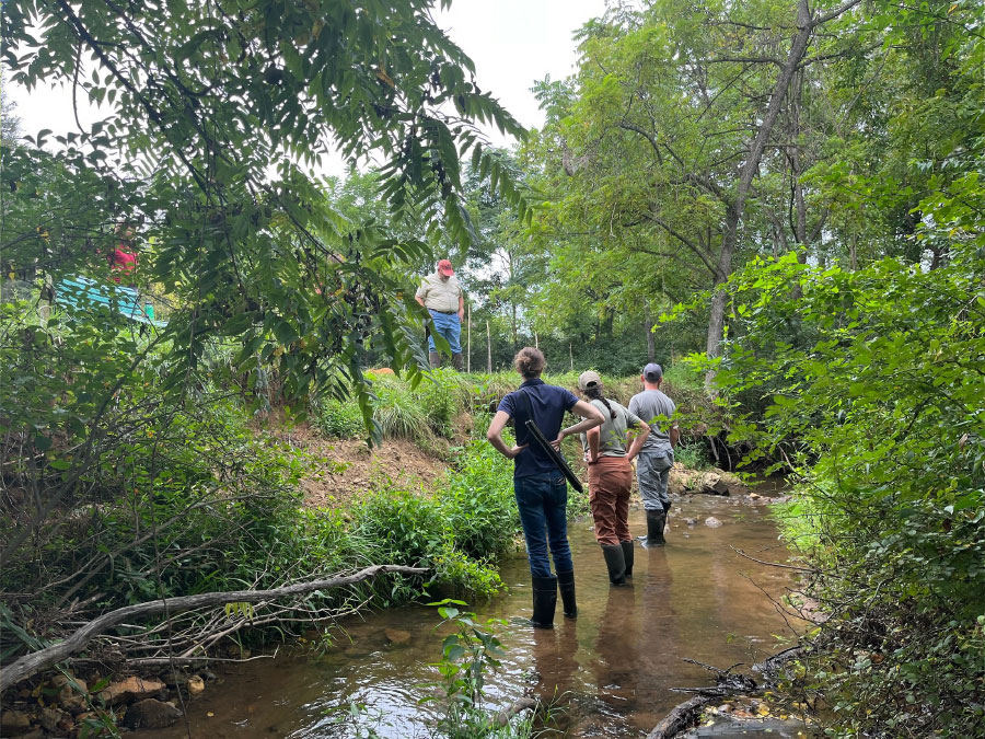 hopes-legacy2-1643905327