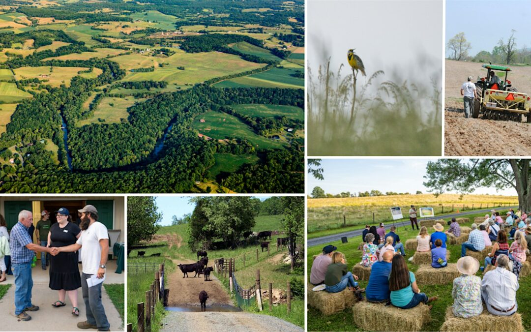 Conservation Funding Workshop & Social