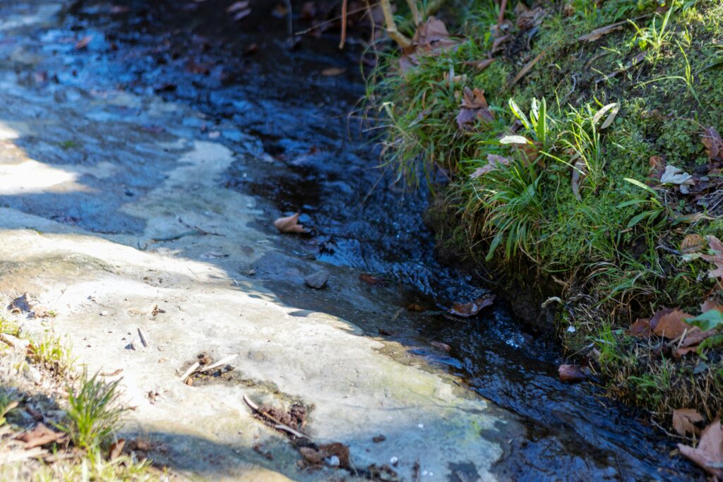 click to learn more about Backyard Streambank Repair Workshop