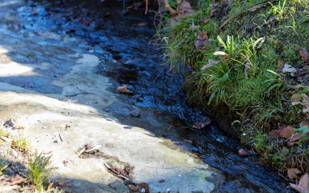 Backyard Streambank Repair Workshop