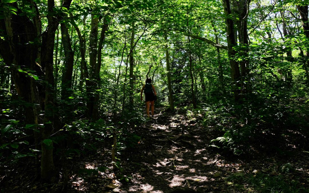 Virginia Forestry Summit