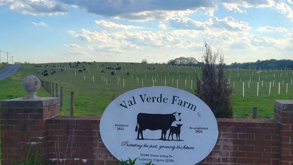 click to learn more about Silvopasture Workshop for Landowners and Producers