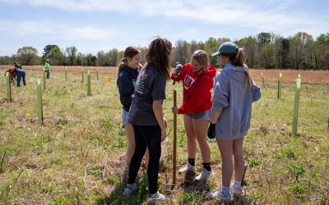 Tree Fredericksburg Tree Planting