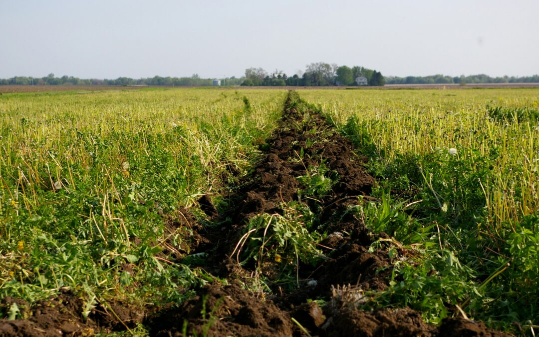 Growing with Biochar Training in the Mid-Atlantic