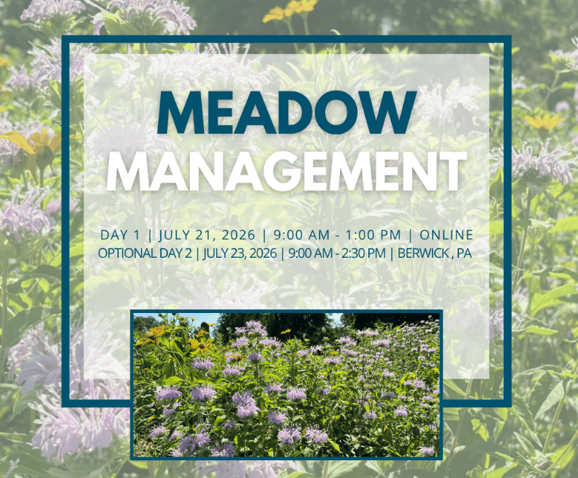 Meadow Management Workshop