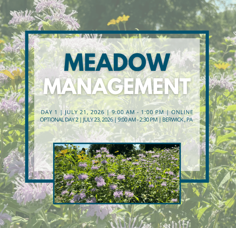 click to learn more about Meadow Management Workshop