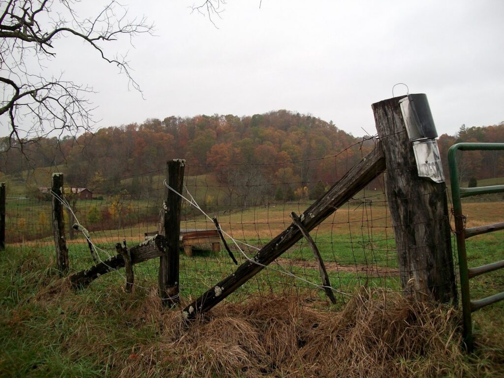 click to learn more about Fall Forestry & Wildlife Field Tours