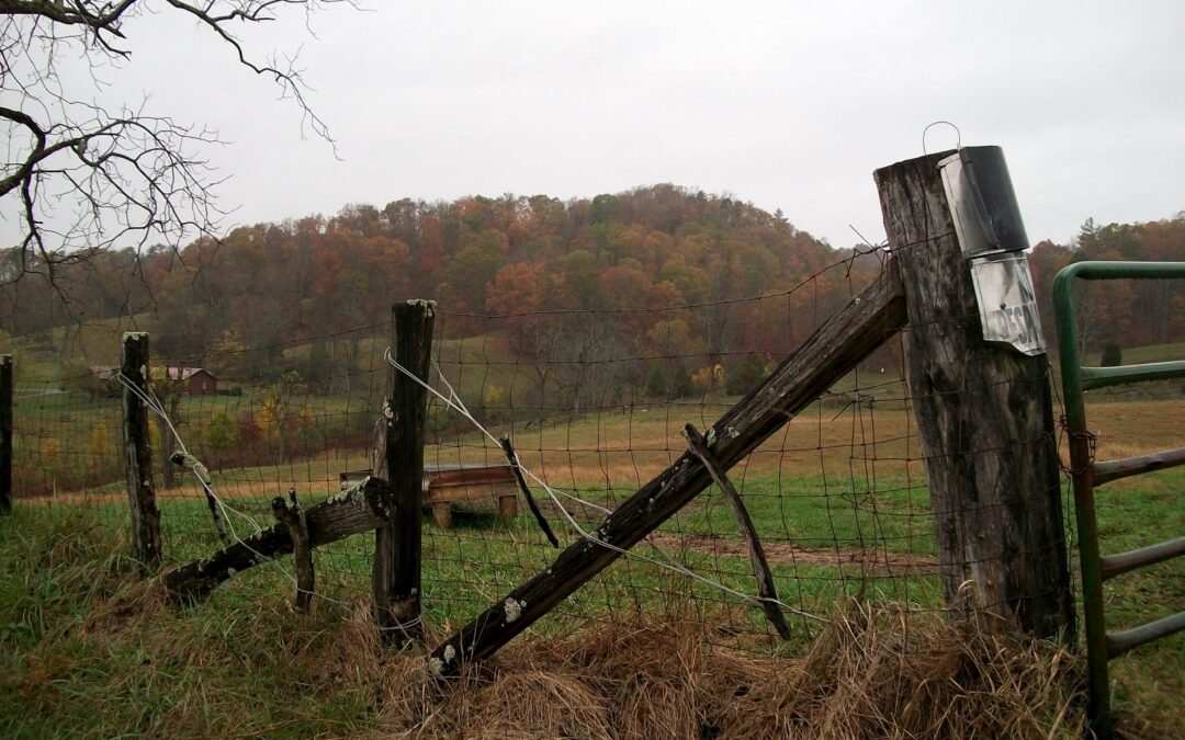 Fall Forestry & Wildlife Field Tours