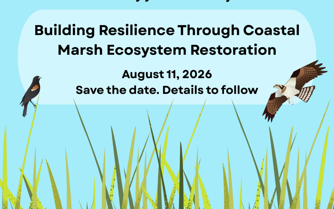Building Resilience Through Coastal Marsh Ecosystem Restoration
