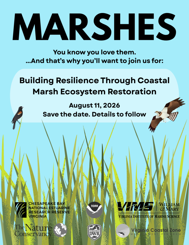 click to learn more about Building Resilience Through Coastal Marsh Ecosystem Restoration
